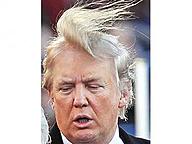 Click image for larger version

Name:	trump toupee.jpg
Views:	0
Size:	19.3 KB
ID:	961993