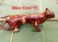 Click image for larger version

Name:	MeoBBQ.jpg
Views:	0
Size:	133.5 KB
ID:	1328392