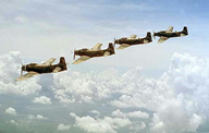 Click image for larger version

Name:	skyraiders1.png
Views:	0
Size:	245.1 KB
ID:	1332381