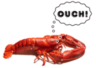 Click image for larger version

Name:	lobster.gif
Views:	0
Size:	97.2 KB
ID:	974763