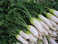 Click image for larger version

Name:	Turnips-and-greens1-6363-1542427708.jpg
Views:	0
Size:	199.3 KB
ID:	1303526