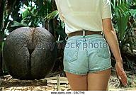 Click image for larger version

Name:	young-woman-seen-from-behind-and-coco-de-mer-nut-lodoicea-maldivica-ebcth0.jpg
Views:	0
Size:	76.6 KB
ID:	1259569