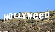 Click image for larger version

Name:	hollyweed-3.jpg
Views:	0
Size:	148.9 KB
ID:	978835