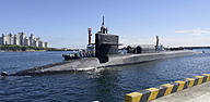 Click image for larger version

Name:	ussmichigan_wmry.jpg
Views:	0
Size:	36.9 KB
ID:	1116898