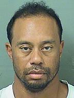 Click image for larger version

Name:	tiger woods_534x712.jpeg
Views:	0
Size:	47.8 KB
ID:	1046908