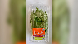 Click image for larger version

Name:	Trader-Joe-recalls-basil-linked-to-Salmonella-infections.png
Views:	0
Size:	465.0 KB
ID:	2363219
