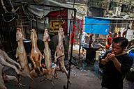 Click image for larger version

Name:	01-yulin-dog-meat-festival.adapt.590.1.jpg
Views:	0
Size:	47.3 KB
ID:	1041302