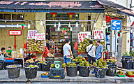 Click image for larger version

Name:	02 SGE_7487 Durians at 606 Geylang Road - Not The Reputable One @ Singapore (Large).jpg
Views:	0
Size:	287.5 KB
ID:	1087221