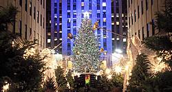 Click image for larger version

Name:	christmas-tree-rockerfeller-center-youtube.jpg
Views:	0
Size:	79.6 KB
ID:	2311671