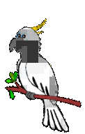 Click image for larger version

Name:	cockatoo.gif
Views:	0
Size:	51.2 KB
ID:	980183
