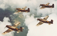 Click image for larger version

Name:	skyraiders.png
Views:	0
Size:	289.6 KB
ID:	1332380