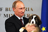 Click image for larger version

Name:	merkelputindog (8).jpg
Views:	0
Size:	80.1 KB
ID:	1000906