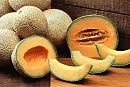 Click image for larger version

Name:	cantaloupes1.jpg
Views:	0
Size:	124.7 KB
ID:	723630