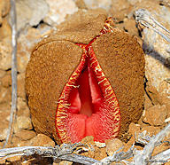 Click image for larger version

Name:	tri.jpg
Views:	0
Size:	163.1 KB
ID:	1302743