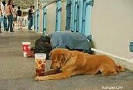 Click image for larger version

Name:	lay .jpg
Views:	0
Size:	7.3 KB
ID:	1321234