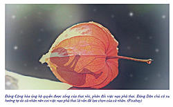 Click image for larger version

Name:	Snap4.jpg
Views:	0
Size:	52.3 KB
ID:	1654652