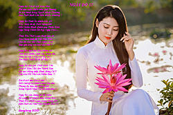 Click image for larger version

Name:	NGY Đ.jpg
Views:	0
Size:	198.6 KB
ID:	2059169