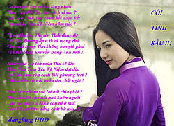 Click image for larger version

Name:	CỎI TNH SẦU.jpg
Views:	0
Size:	199.6 KB
ID:	2247194