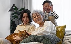 Click image for larger version

Name:	front-view-happy-japanese-family-with-cat-17094609877581643882319-4-0-1254-2000-crop-17094610003.jpg
Views:	0
Size:	50.4 KB
ID:	2343171