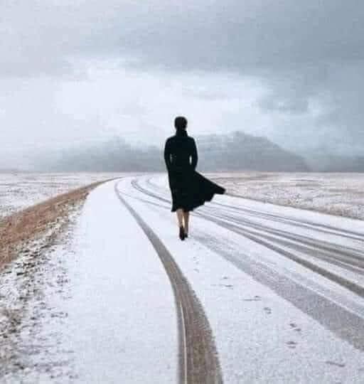 [Image: attachment.php?attachmentid=2399307&d=1721094816]