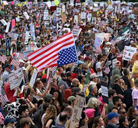 Name:  41122.jpg
Views: 0
Size:  52.1 KB