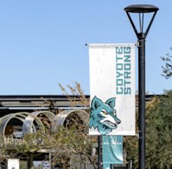 Name:  9811.jpg
Views: 0
Size:  27.4 KB