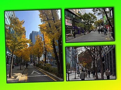 Đi Hn, đi Nhật rồi nhn lại Việt Nam: yu nước đu chỉ ni trn mi