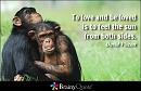 Click image for larger version

Name:	tolove.jpg
Views:	0
Size:	34.3 KB
ID:	877594