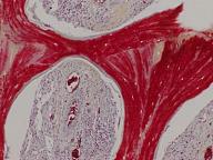 Click image for larger version

Name:	1.jpg
Views:	0
Size:	47.7 KB
ID:	909576