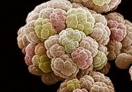 Click image for larger version

Name:	vi-khuan-viet-nam-1272016-1541.jpg
Views:	0
Size:	161.9 KB
ID:	909939