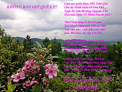 Click image for larger version

Name:	KHNG BAO GIỜ QUN.jpg
Views:	0
Size:	198.3 KB
ID:	2122919