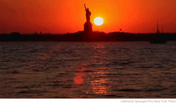 Click image for larger version

Name:	NY01amed.gif
Views:	0
Size:	812.0 KB
ID:	1558560
