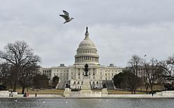 Click image for larger version

Name:	TS-Capitol-070420.jpg
Views:	0
Size:	294.8 KB
ID:	1612283