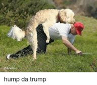Click image for larger version

Name:	hump-da-trump-30796880.png
Views:	0
Size:	131.1 KB
ID:	1426987