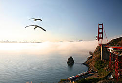 Click image for larger version

Name:	golden gate _6069PR.jpg
Views:	0
Size:	281.8 KB
ID:	1514068