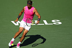 Click image for larger version

Name:	adt1635089383-nadal-1_obum_anh_cat_3_2.jpeg
Views:	0
Size:	28.4 KB
ID:	1902193