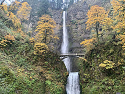 Click image for larger version

Name:	DL-Portland-Oregon-mua-thu-4.jpg
Views:	0
Size:	812.8 KB
ID:	1695958