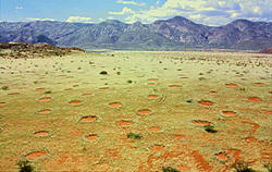 Click image for larger version

Name:	fairy-circles-namibia-15994150945531715490271.jpg
Views:	0
Size:	109.9 KB
ID:	1652325