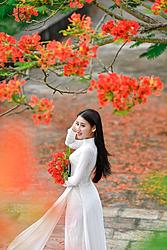 Click image for larger version

Name:	Hinh-anh-cay-hoa-phuong (14).jpg
Views:	0
Size:	76.9 KB
ID:	2241026