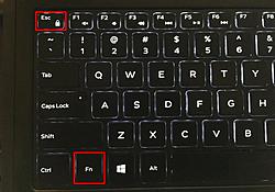 Click image for larger version

Name:	toggle-fn-key.jpg
Views:	0
Size:	39.3 KB
ID:	1765830