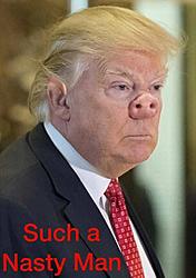 Click image for larger version

Name:	c1109f48ad7bcb554ee5ed69c3415244--donald-trump-donald-oconnor.jpg
Views:	0
Size:	55.8 KB
ID:	1756094