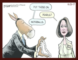 Click image for larger version

Name:	6-25-17-toon-moth-balls-for-nancy-pelosi_orig.png
Views:	0
Size:	103.7 KB
ID:	1516316