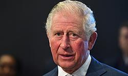 Click image for larger version

Name:	britains-prince-charles-and-ca-7737-6310-1585749202.jpg
Views:	0
Size:	187.8 KB
ID:	1556694