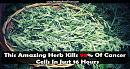 Click image for larger version

Name:	amazing-herb-kills.jpg
Views:	0
Size:	230.8 KB
ID:	693667