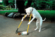 Click image for larger version

Name:	dog-graphics-dog-funny-223565.gif
Views:	0
Size:	55.7 KB
ID:	1066838